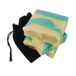 Lemon + Eucalyptus Soap Bar