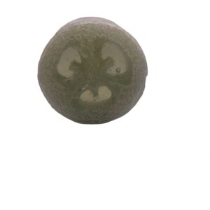 Cucumber + Green Tea Loofah Soap Bar - Organically Bath & Beauty