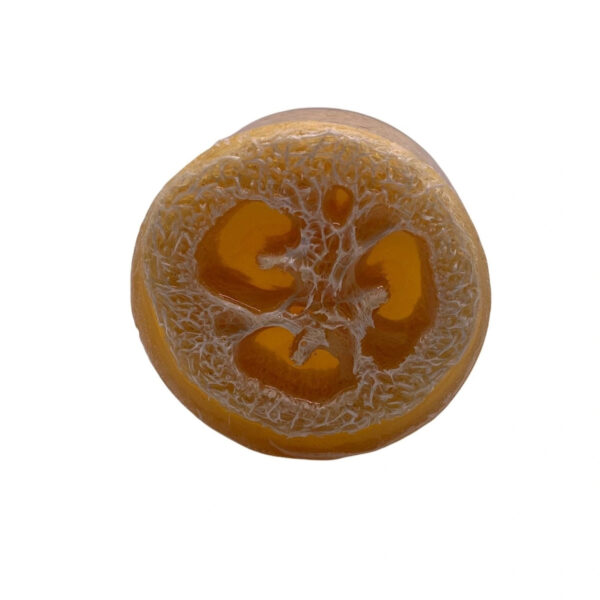 Sandalwood + Jasmine Loofah Soap Bar - Organically Bath & Beauty